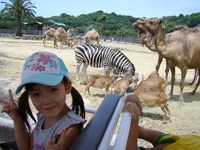 南紀白浜旅行　7月23日