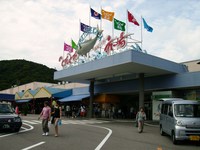 南紀白浜旅行　7月24日