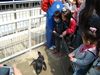 春休みだね～