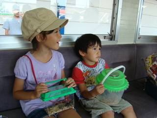 かぶと虫列車