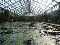 花に囲まれて