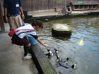 鳥、鳥、鳥・・・