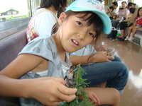 かぶと虫大家族