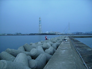 2012年初釣り競鯛杯