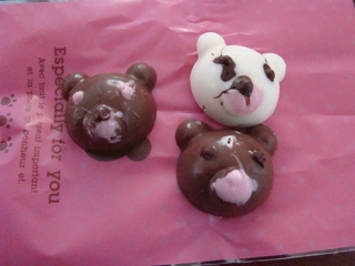 今年はクマさん！