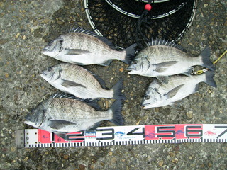 06釣行