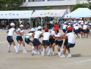 ノリノリ運動会