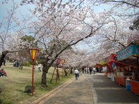 花見がてら・・・