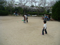 花見がてら・・・