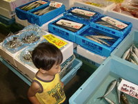 南紀白浜旅行 8月4日