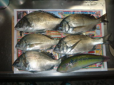 ちょっと罪悪感が・・・