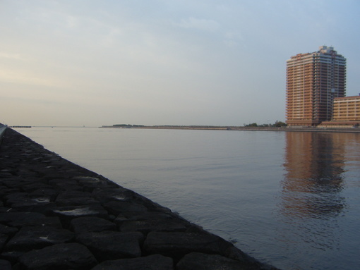 朝練(西宮浜シーバス）