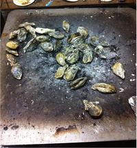 祝！はじめての牡蠣焼き 2012/01/16 22:05:35