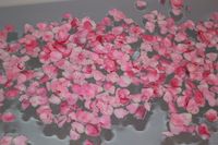 アンジェラちゃ～ん　　いらっしゃ～ぃ♪ 2011/06/01 22:56:52