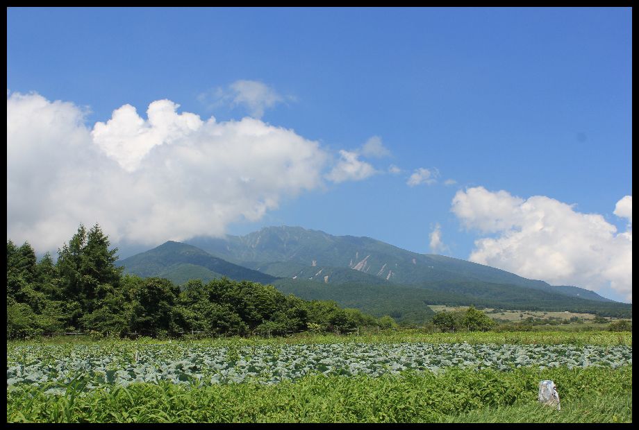 五光牧場　～　斜めキャンプ♪　～