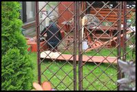 続・タラ～リンとチョコレート工場 2011/06/12 01:28:26