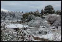 雪遊び大作戦　①