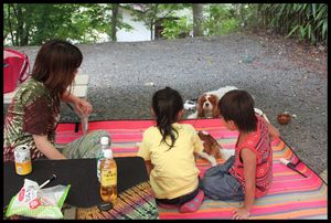 コトコトのキャンプデビュー☆　　その１