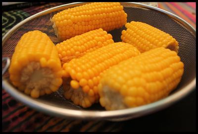 五光牧場　～　斜めキャンプ♪　～
