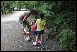 コトコトのキャンプデビュー☆　　その１
