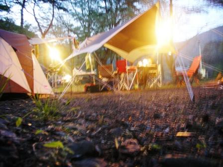 ｆｏｒｅｓｔ‐ｄａｙ