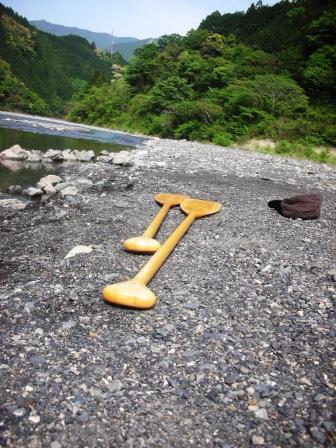 新緑の時期