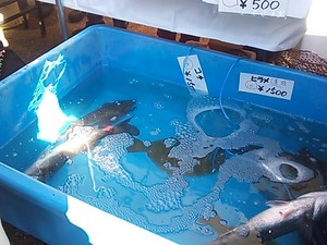 姫路とれとれ海産物まつり