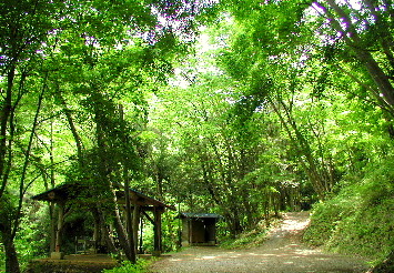 森キャンプ【相模湖休養村キャンプ場】