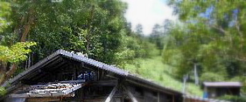 徳本峠に坐す、見えない修験者