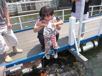 万葉公園キャンプ　その2