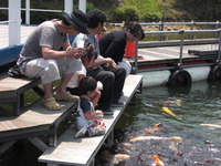 万葉公園キャンプ　その2