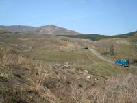 春の野山　貴重な湿原地帯 2008/04/07 10:26:28
