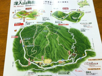 深入山トレ