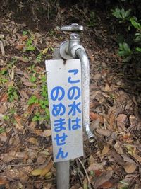 【2010】三重岳キャンプ場編　その壱