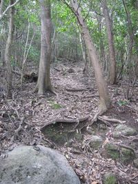 【2010】三重岳キャンプ場編　その壱