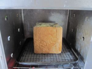 オーブンⅡ