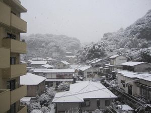 早速、遊んでみました♪♪