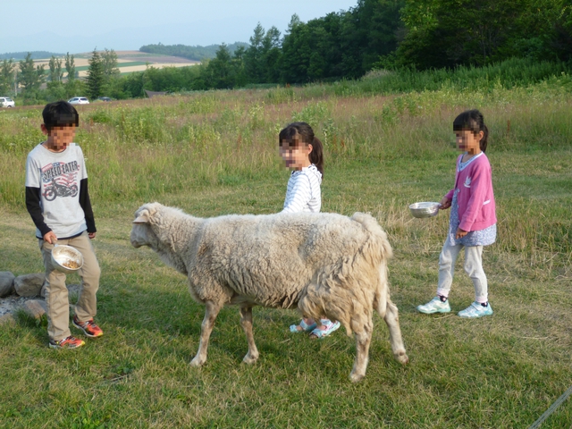 【レポート：7/25～8/1】北海道キャンプ⑥