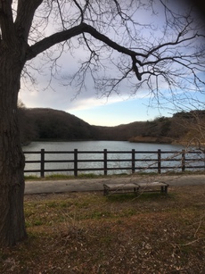 公園。そして携帯から記事アップの練習（笑）