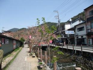 春の旅キャン　レポ　鳥取～兵庫