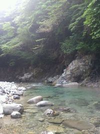 やっと渓流に行けた！