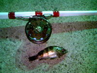 初釣り・・・
