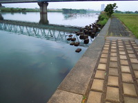 手長エビ釣り・・・by.２０１１年度2回目編