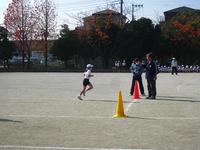 ３年牝馬