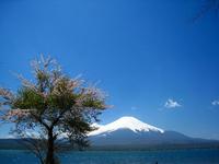 リベンジ富士山ツー