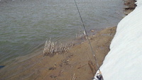 バラし… 2012/04/10 22:54:23