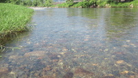 ボウズは無いが。 2012/06/29 12:49:52