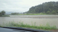 秋雨。 2012/09/06 12:41:50