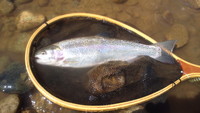 やっぱり虹。。。 2011/09/12 22:00:00