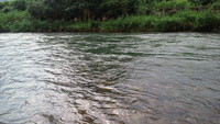 ８月の釣果。　～その２～ 2011/09/06 00:05:00